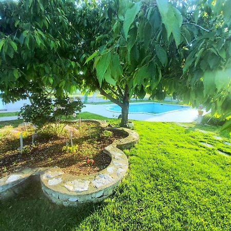 Kaja House Apartments Лозовац Екстер'єр фото