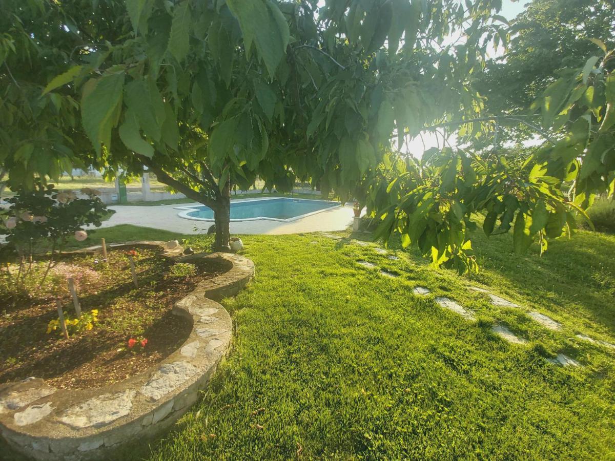 Kaja House Apartments Лозовац Екстер'єр фото