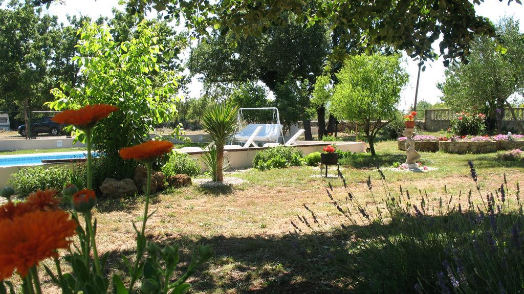 Kaja House Apartments Лозовац Екстер'єр фото