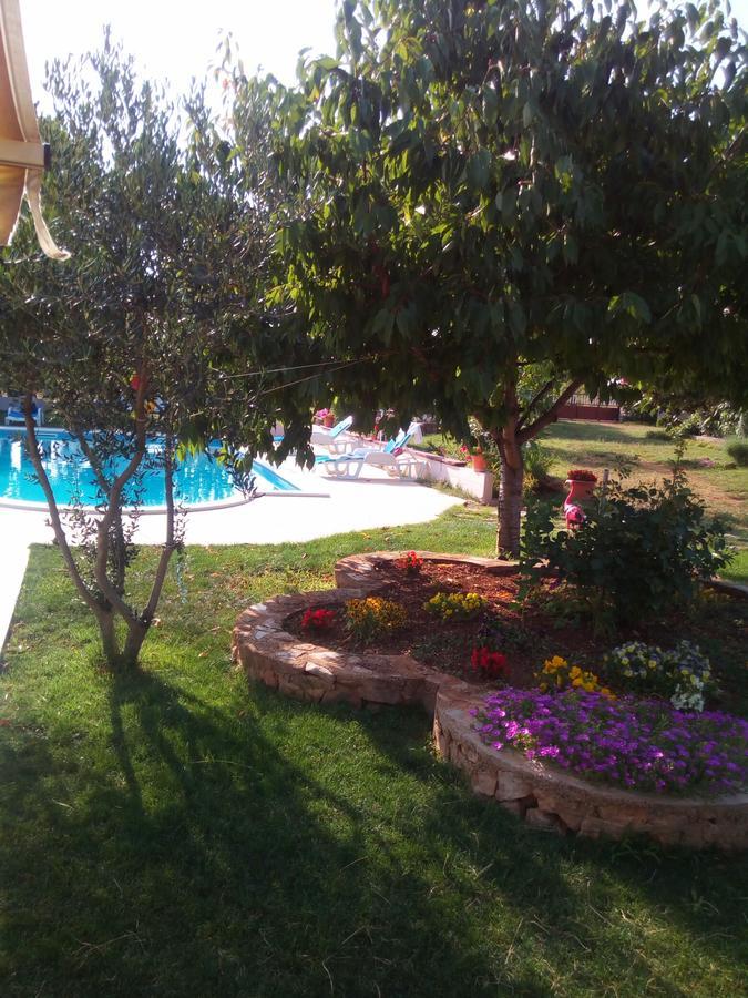 Kaja House Apartments Лозовац Екстер'єр фото
