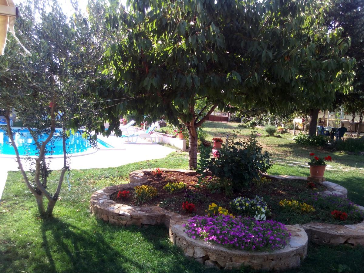 Kaja House Apartments Лозовац Екстер'єр фото